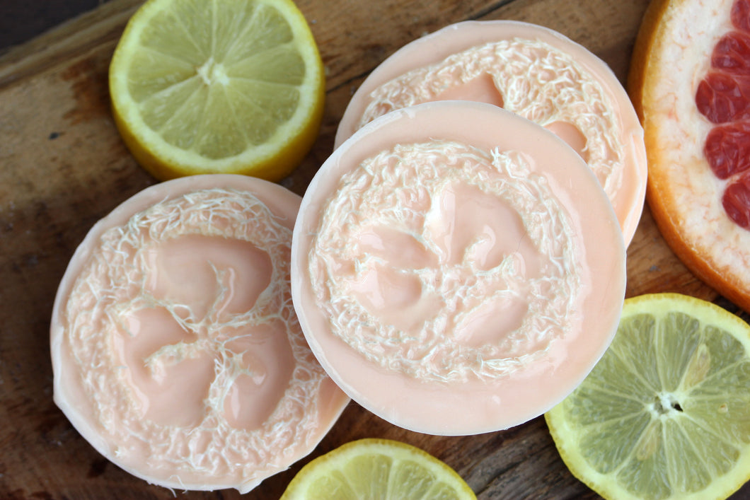 CITRUS MINT LOOFAH SOAP