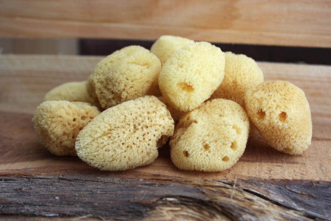 NATURAL SILK SPONGE