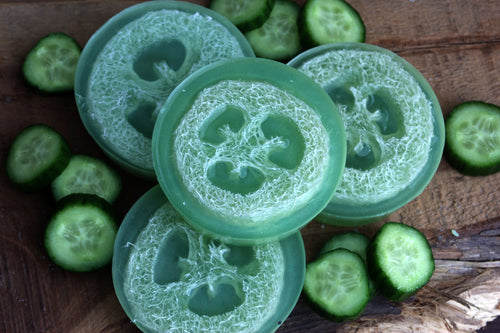 PICKLE SLICE CITRUS LIME LOOFAH SOAP